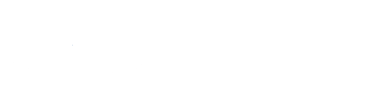 Socio Empleo